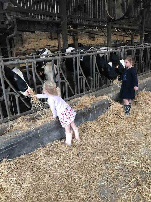 Gite Ferme Cidricole Et Laitiere Villa Magny-le-Desert Bagian luar foto